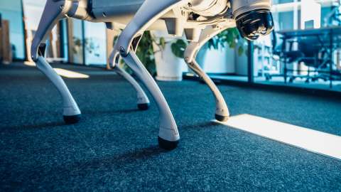 Der Roboter Hund im Profil. © münsterLAND.digital